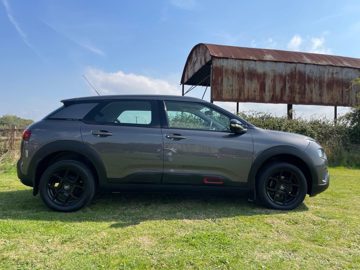 Citroen C4 Cactus Listing Image