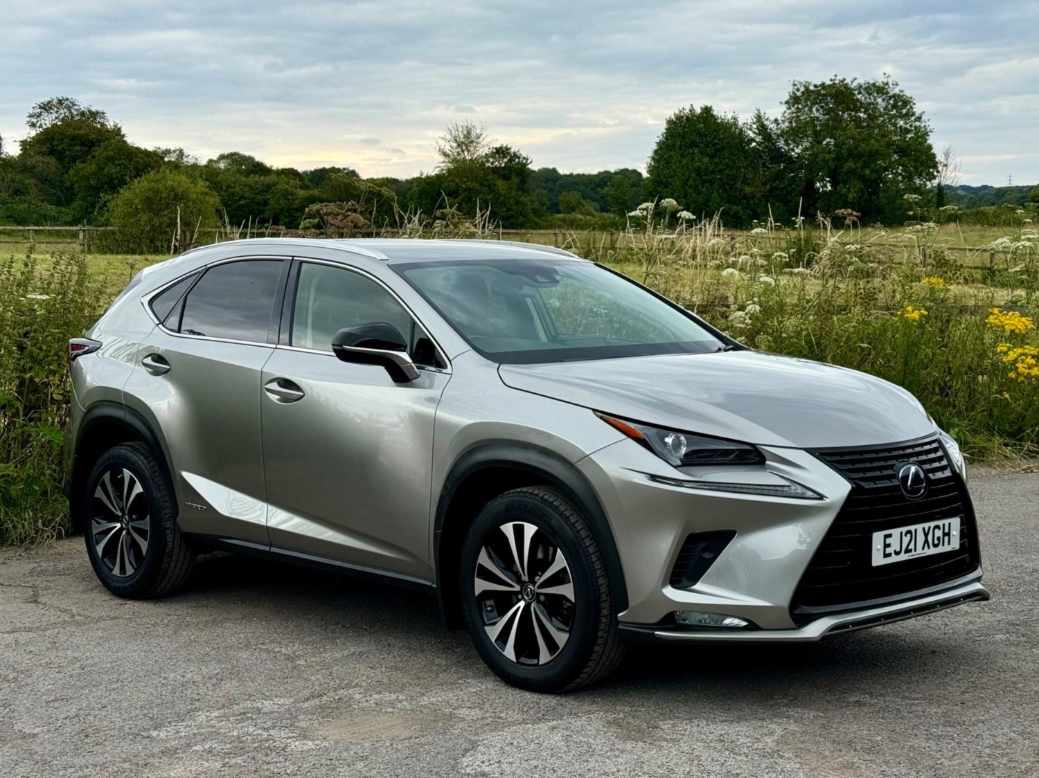 Lexus NX Listing Image