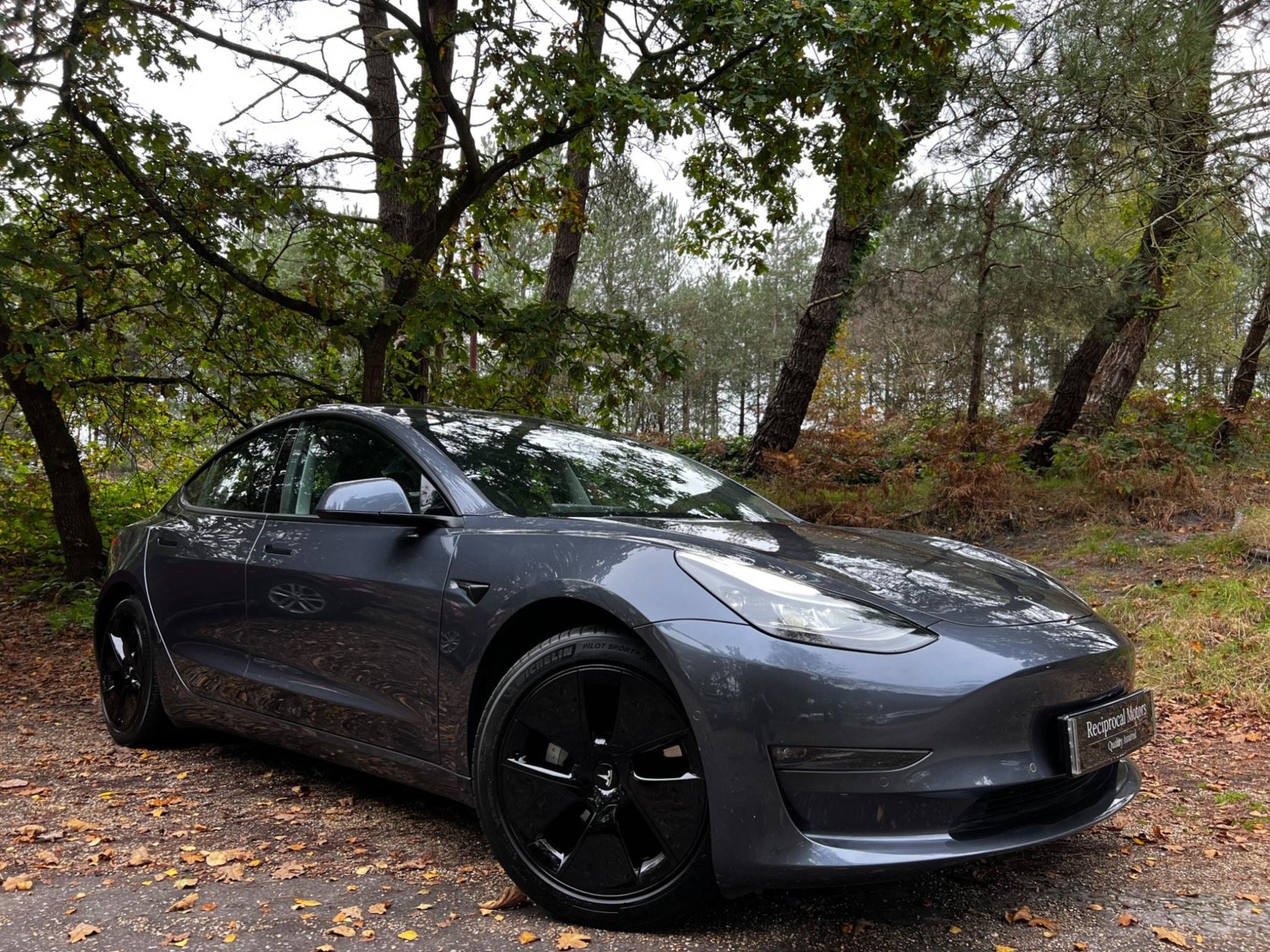 Tesla Model 3 Listing Image