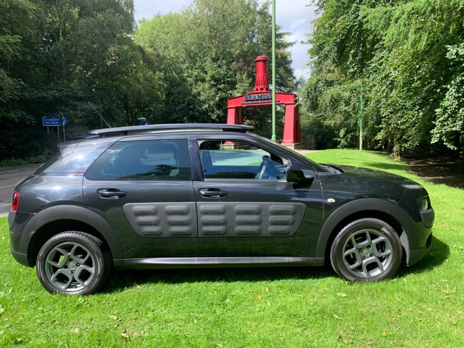 Citroen C4 Cactus Listing Image