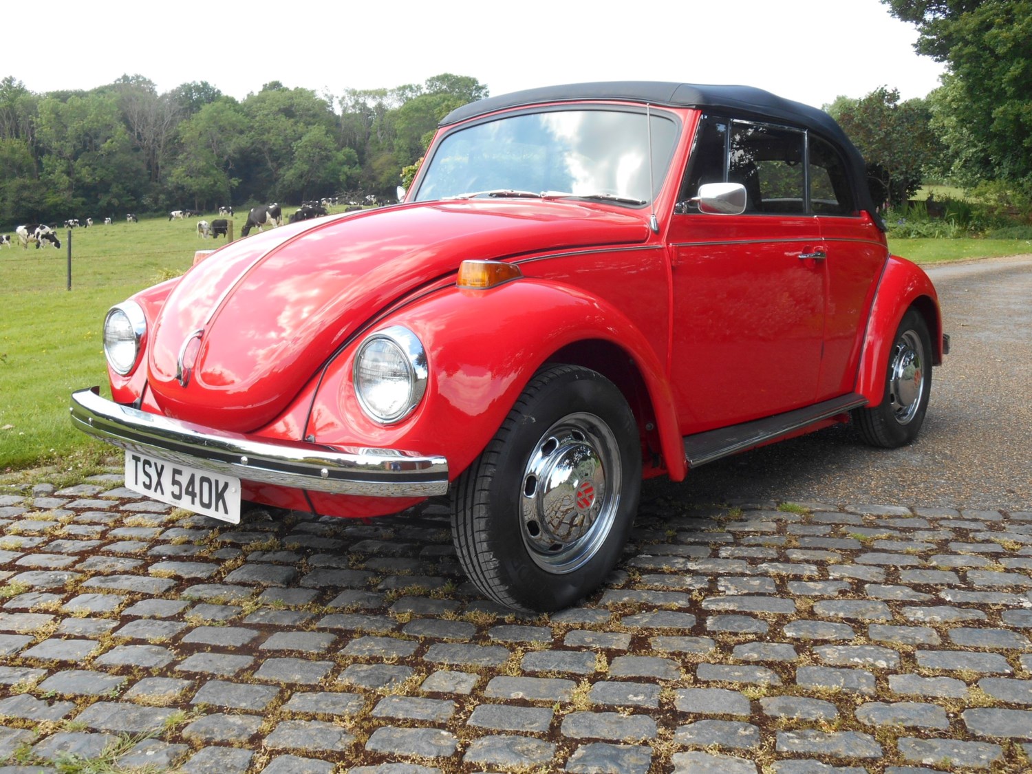 Volkswagen Beetle Listing Image