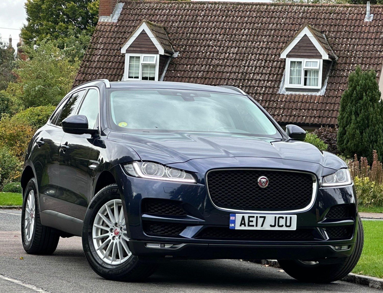 Jaguar  Listing Image