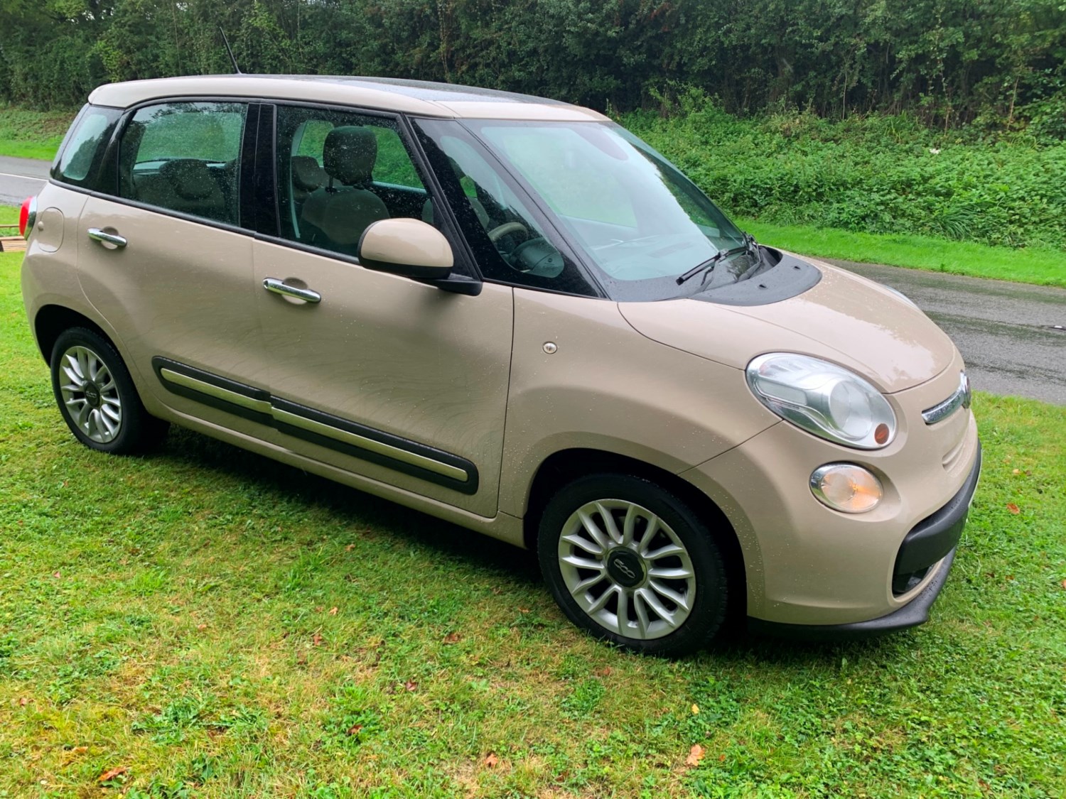 Fiat 500L Listing Image