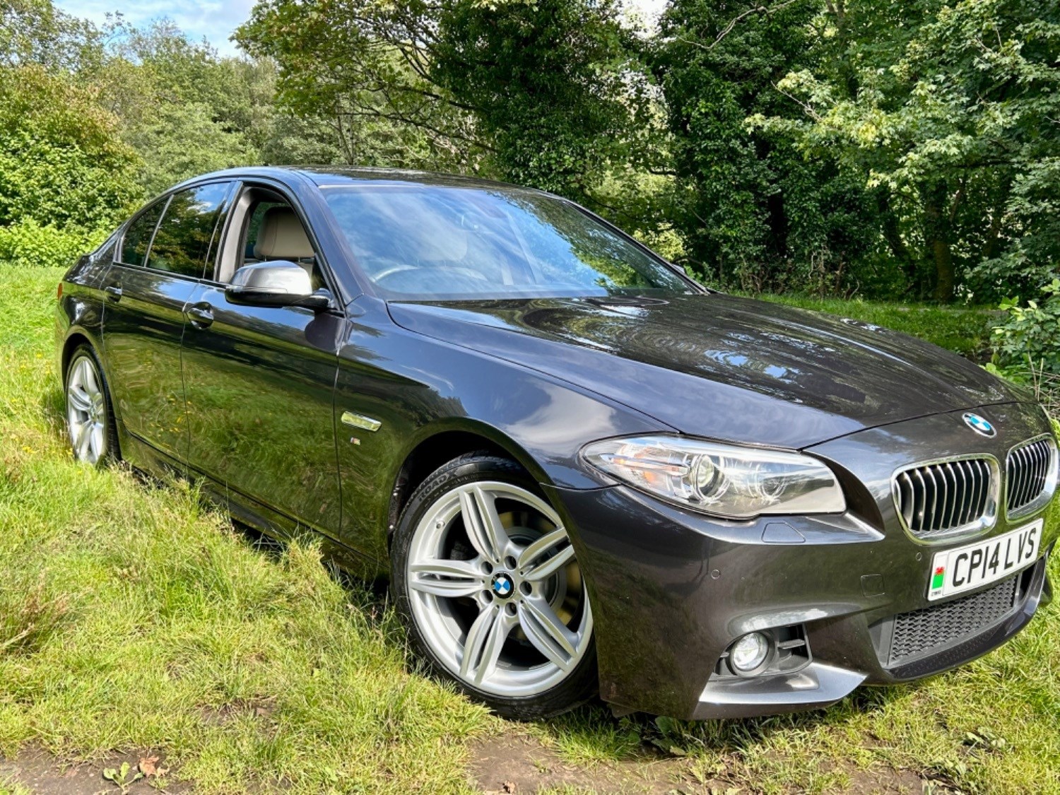 BMW 5 Series Listing Image