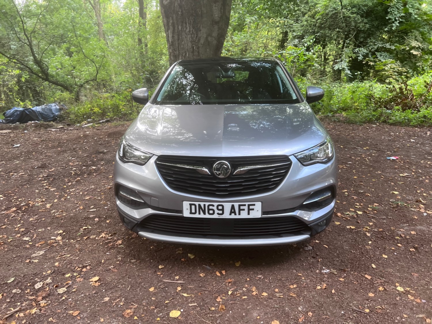 Vauxhall Grandland X Listing Image