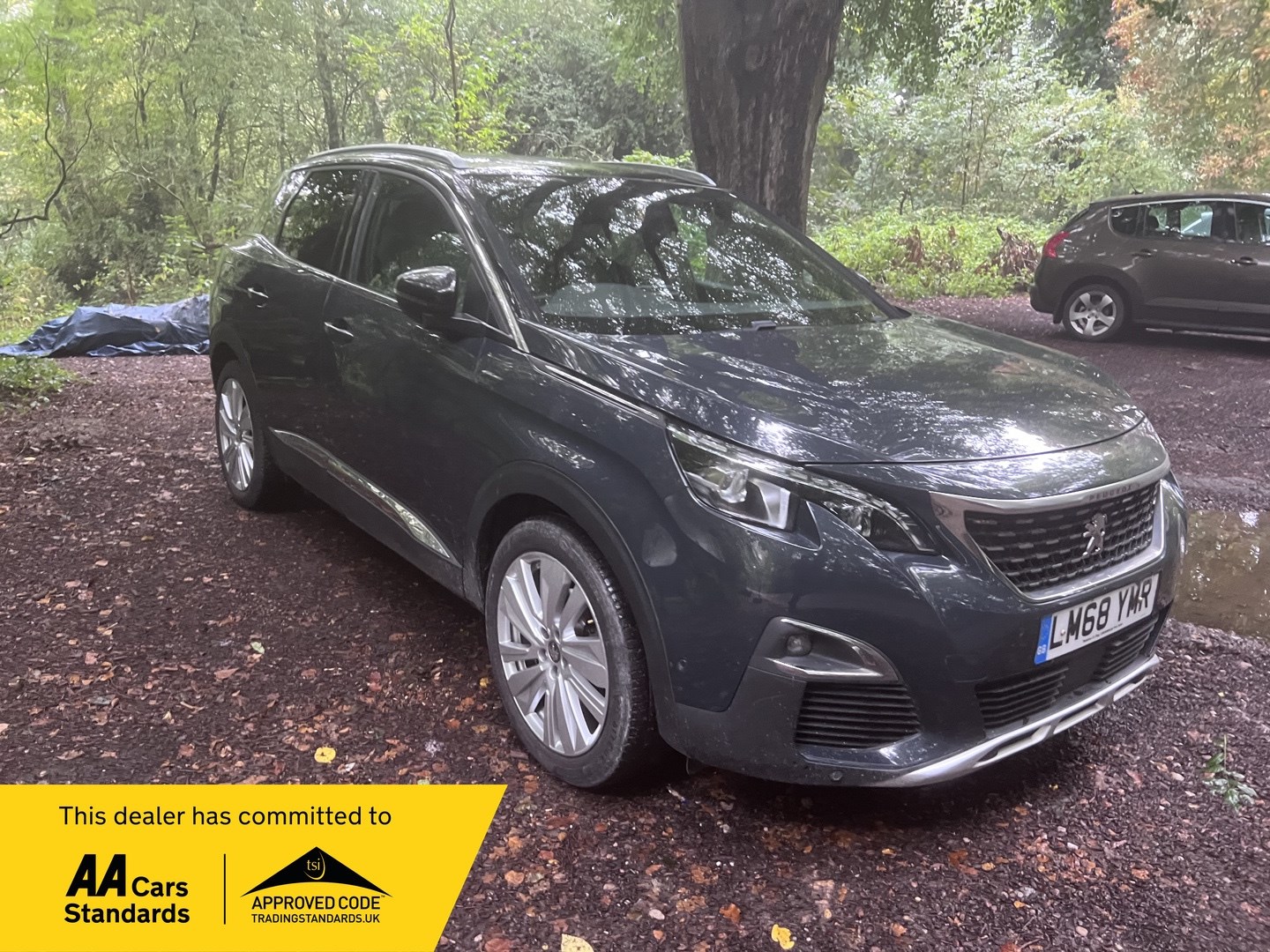 Peugeot 3008 Listing Image